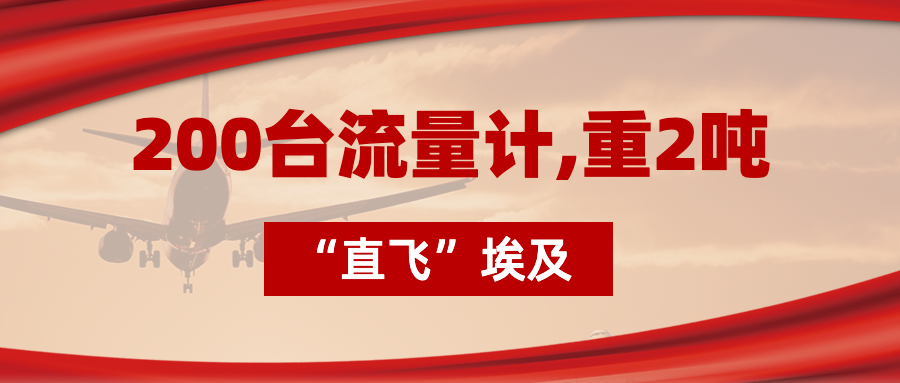 200臺(tái)流量計(jì)“直飛”埃及，重2噸，運(yùn)費(fèi)10萬